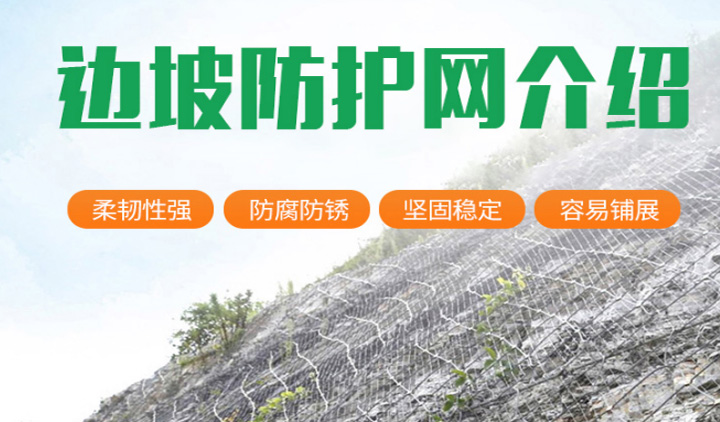 SNS��������(d��ng)���o(h��)�W(w��ng)��B